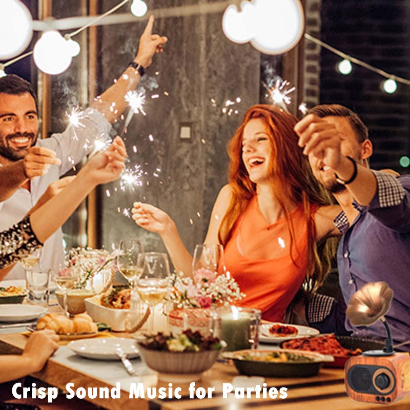 BGJOY Retro Music Speaker Vintage Wireless Portable Outdoor Speakers Loud Stereo Sound Rechargeable Speaker Built in Mic Support Answering Calls USB TF Card AUX for Home Party Office - Image 3